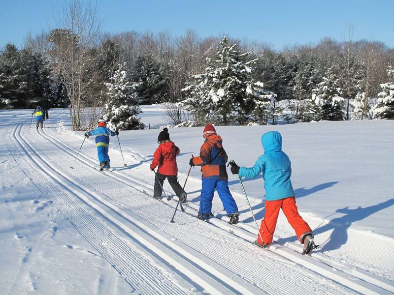 Cross country skiing